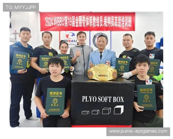 国际拳击裁判评分复核委员会年度判例与教学资料上线,国际拳击大赛 国际拳击裁判评分复核委员会年度判例与教学资料上线,国际拳击大赛